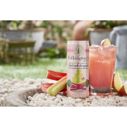 Presse Rhubarb & Apple - Cans Folkingtons 12x250 ML